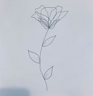 Flower Drawing